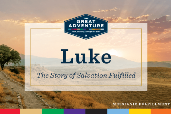 Luke: The Story of Salvation Fulfilled